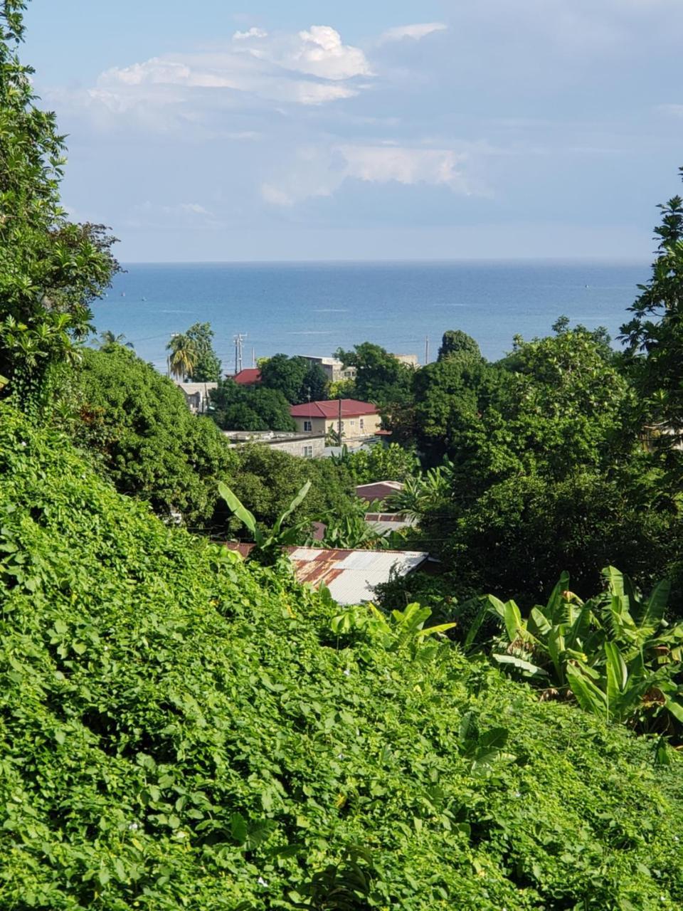 Viva Violas Pansiyon Port Antonio Dış mekan fotoğraf