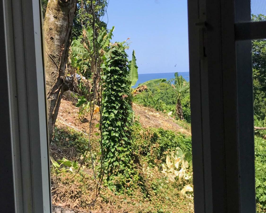 Viva Violas Pansiyon Port Antonio Dış mekan fotoğraf