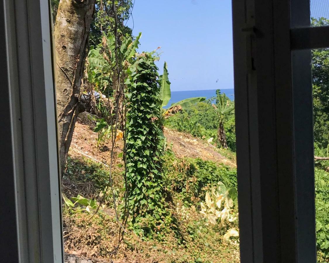 Viva Violas Port Antonio Dış mekan fotoğraf